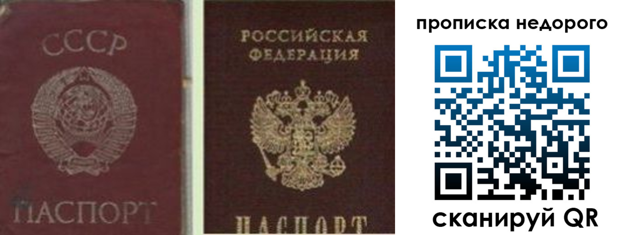 временная регистрация поиск в Фрязино